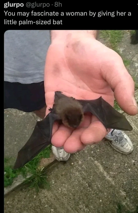 GIF uploaded by Martin