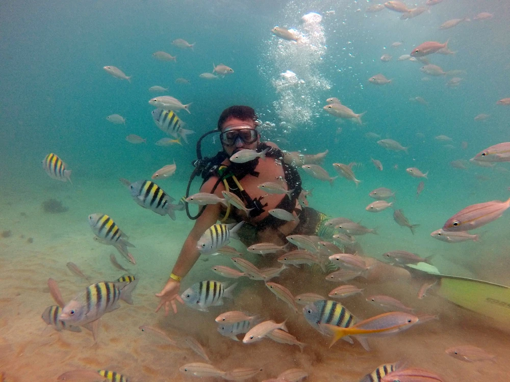 GIF enviado por Vinícius