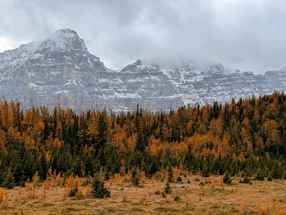 GIF uploaded by Bibek Regmi