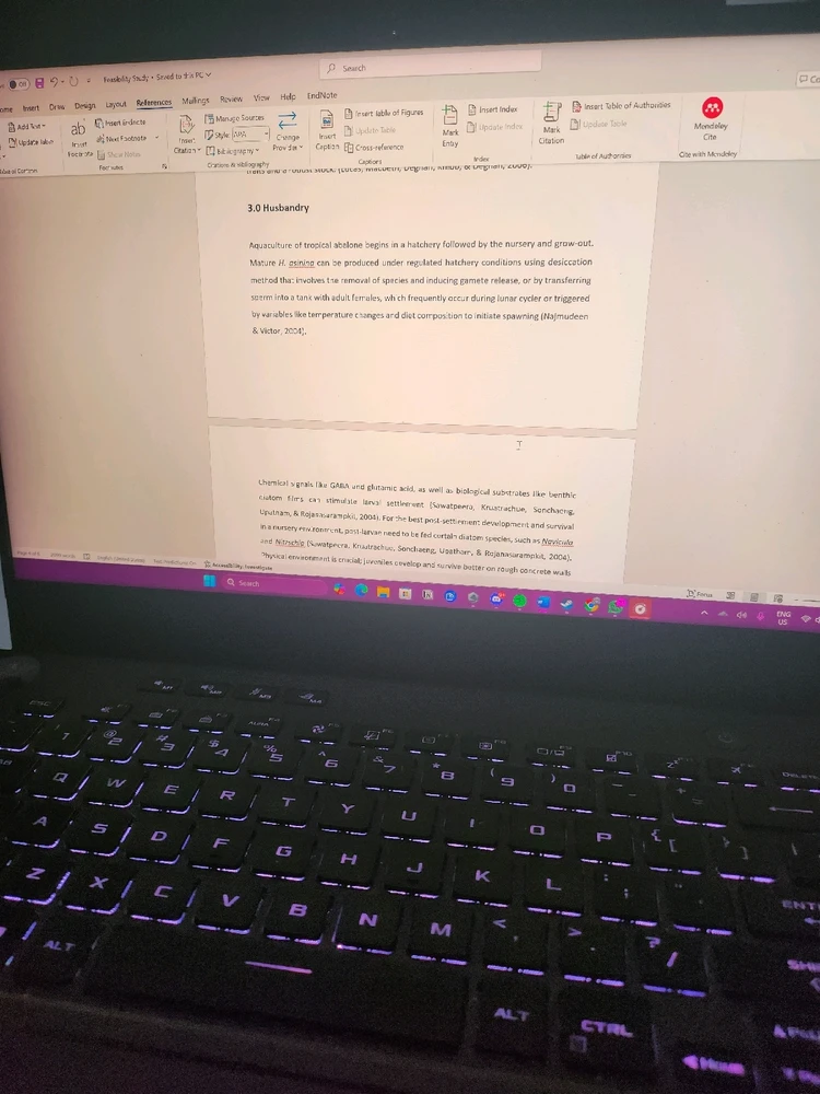 GIF uploaded by Star ⭐