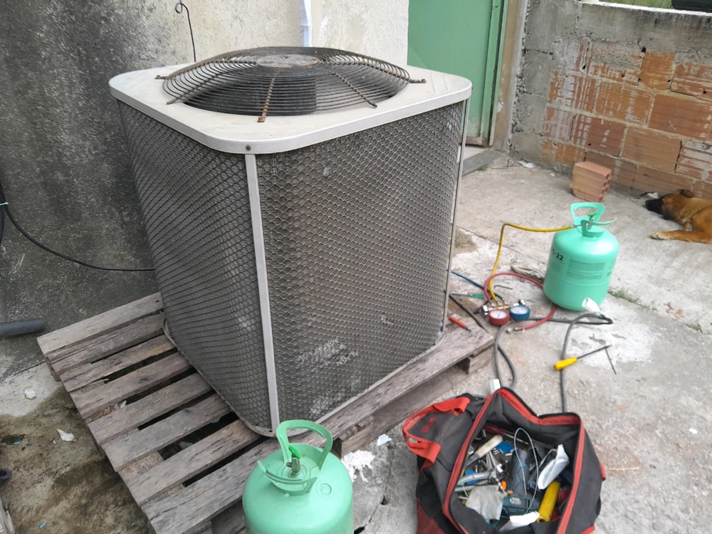 Imagem enviada por Robson