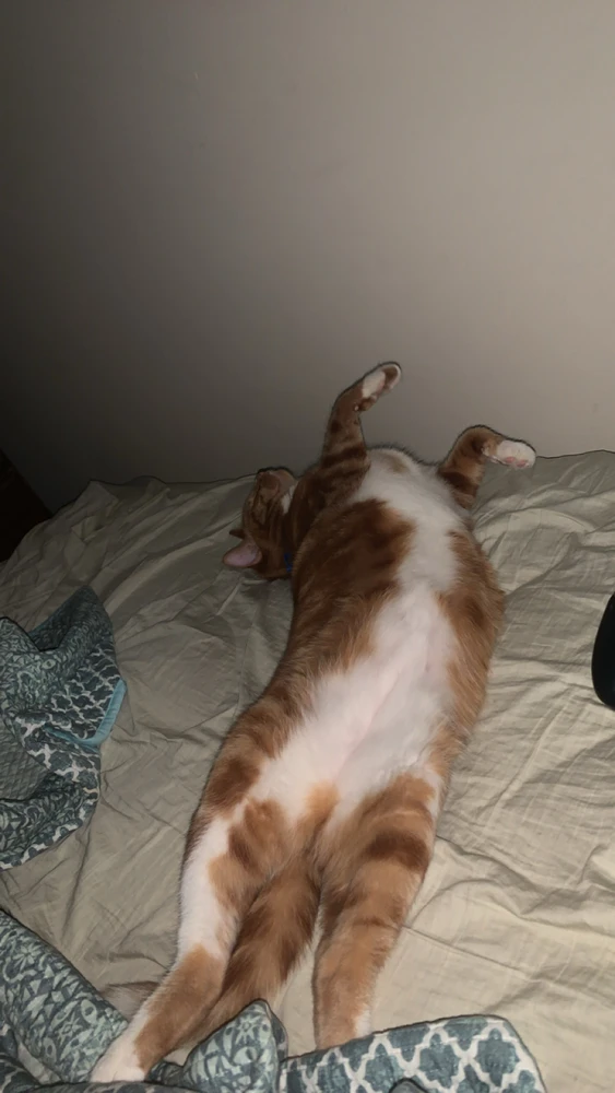 GIF uploaded by Mitch