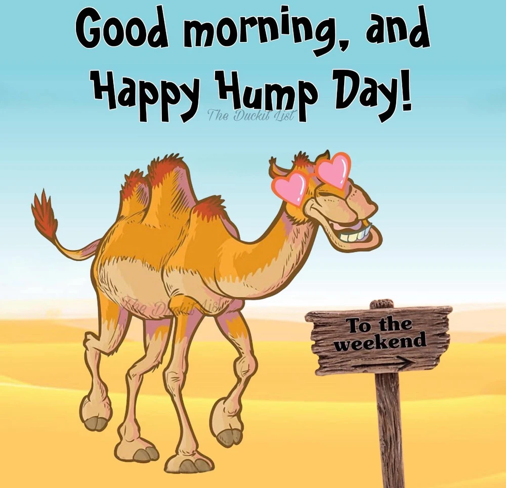 GIF uploaded by Heidi