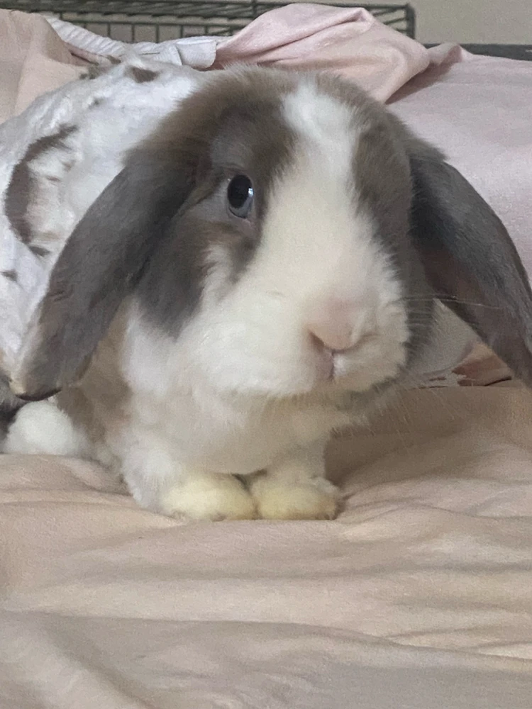 GIF hochgeladen von Tara