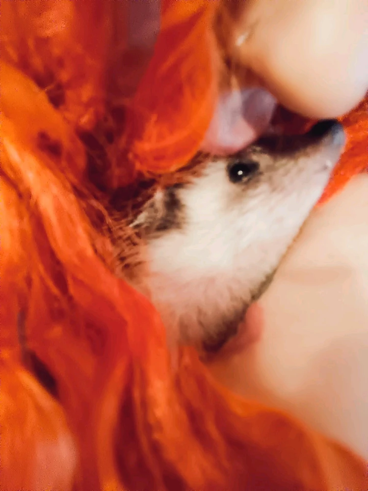 Фото загрузил Анастасия