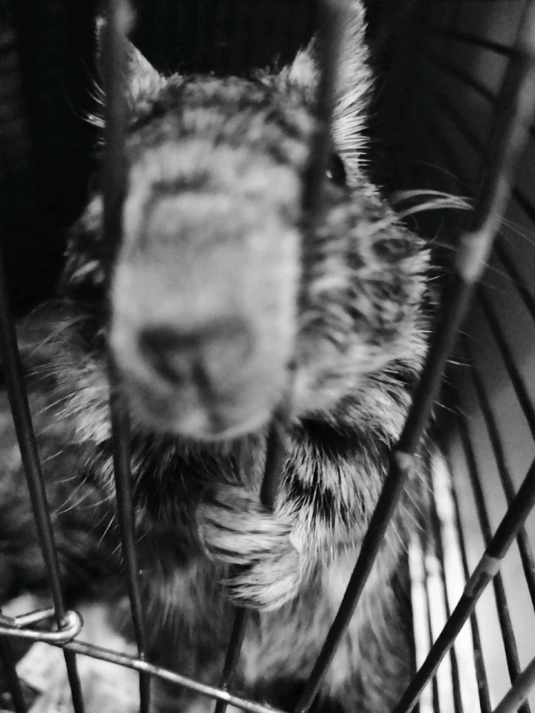 Фото загрузил Анастасия