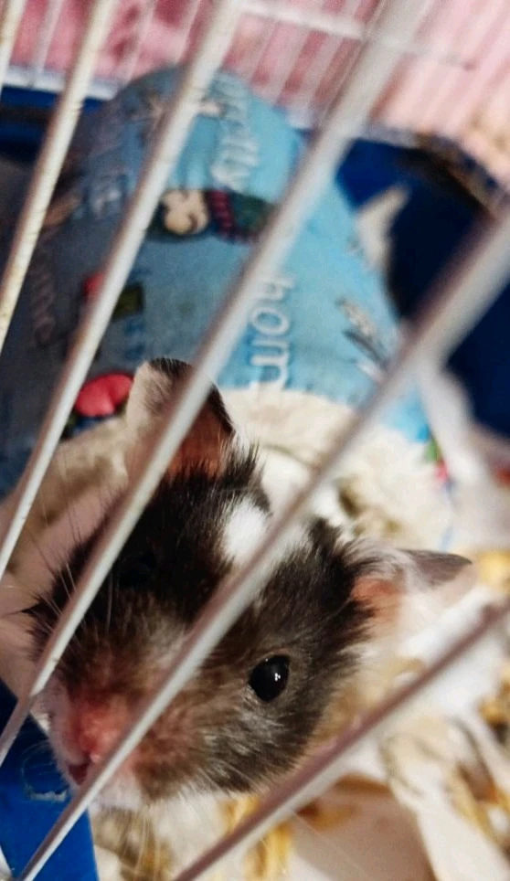 Фото загрузил Анастасия