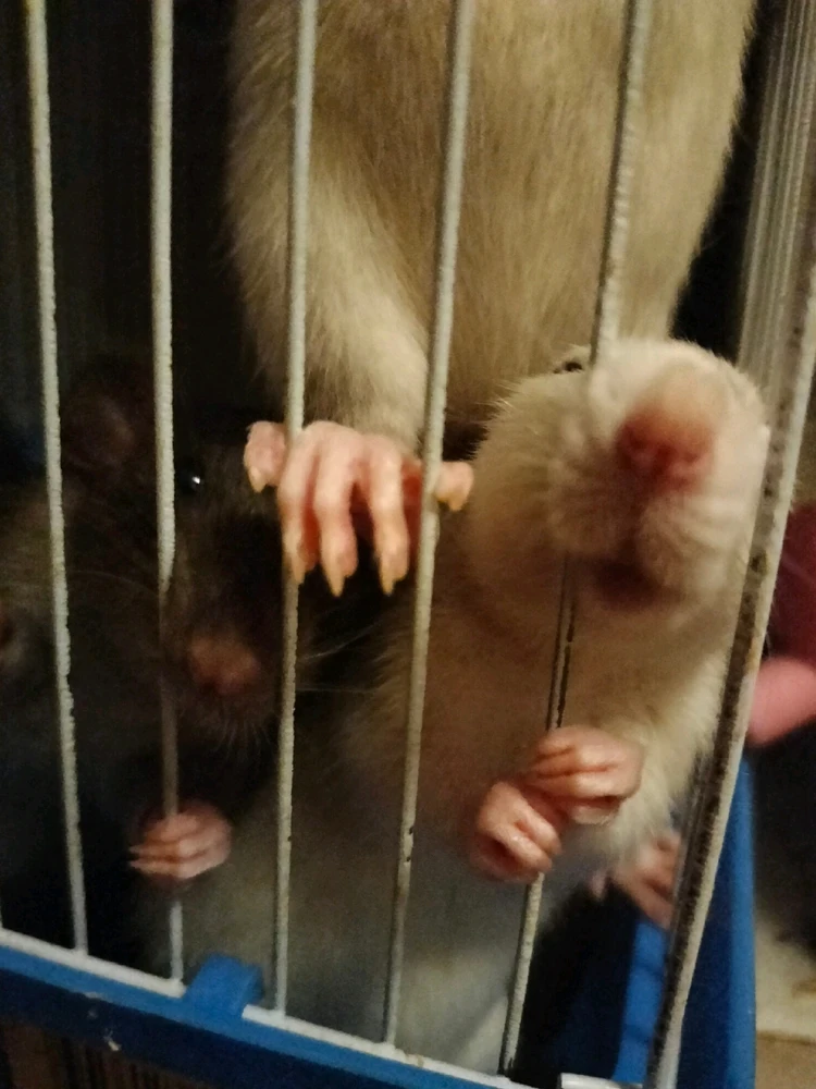 Фото загрузил Анастасия