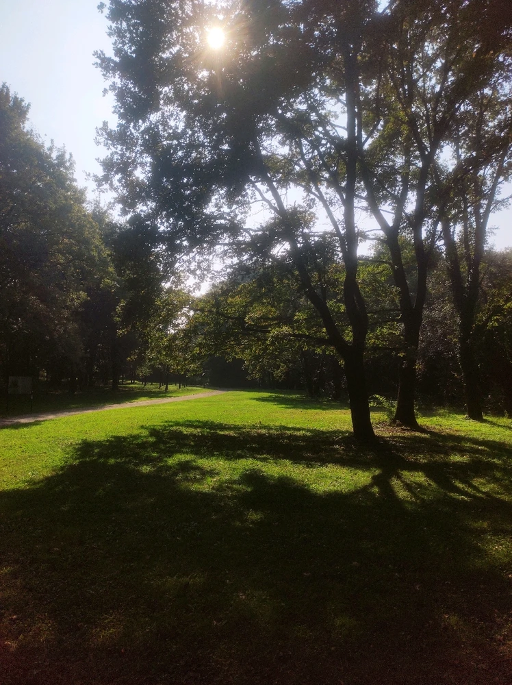 Immagine caricata da Emanuele