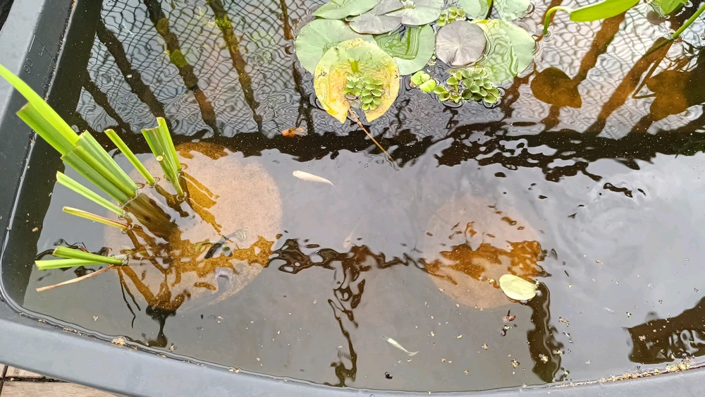 GIF dodany przez Darek