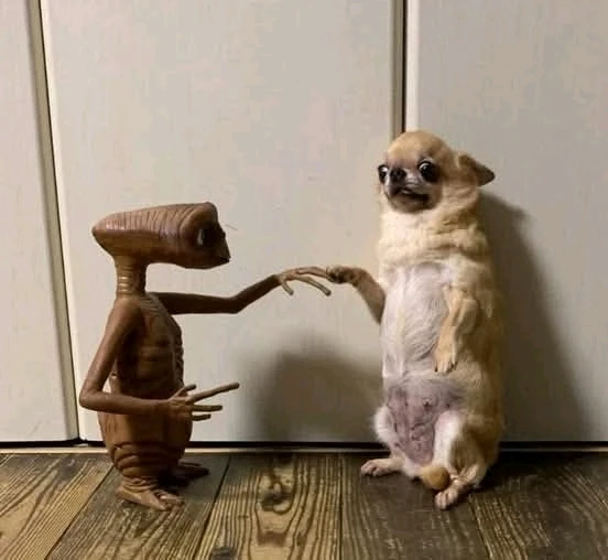 GIF hochgeladen von Doris