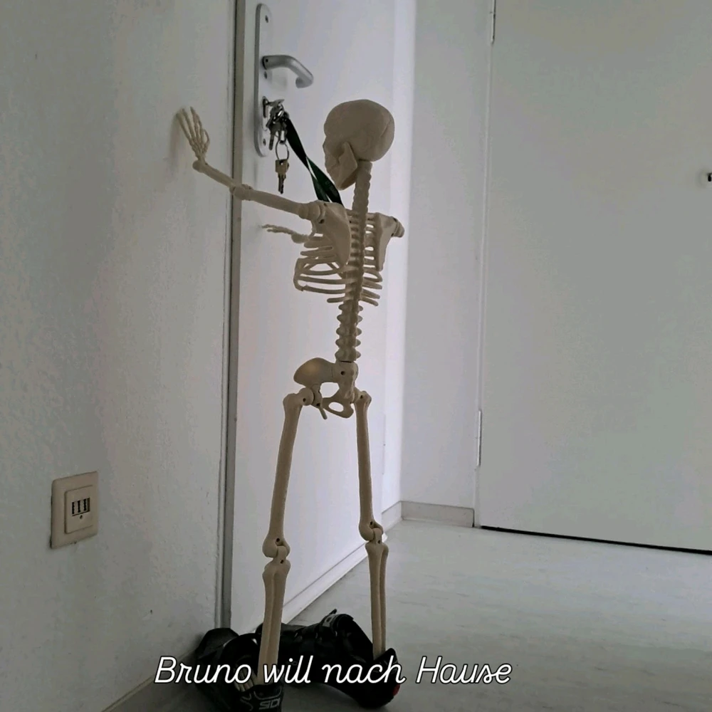 Bruno und ich Teil 12