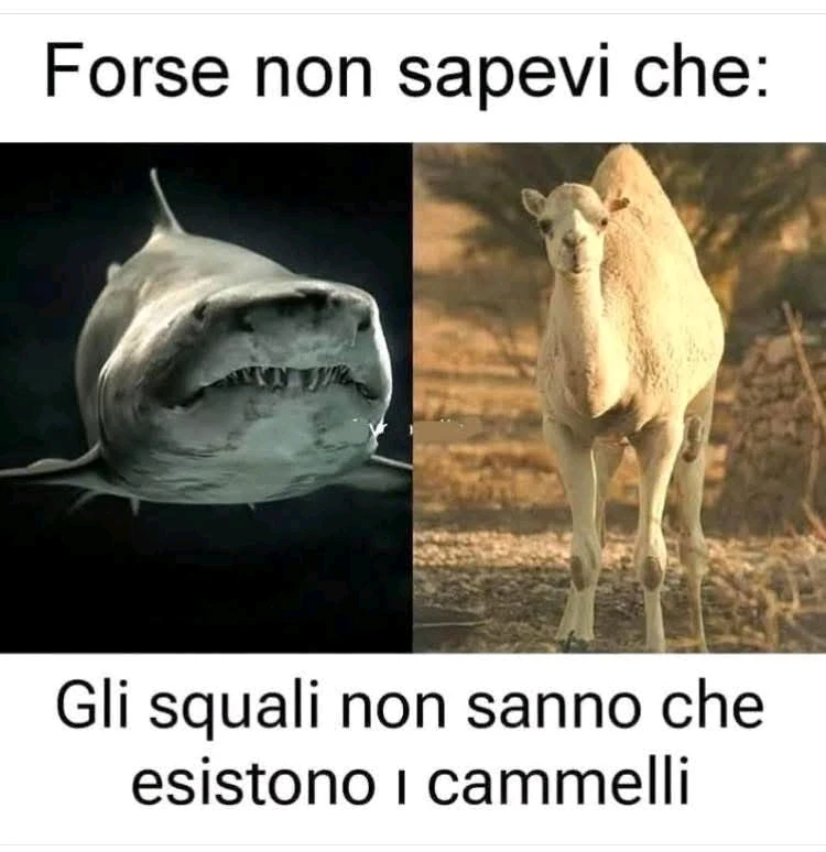 GIF caricata da Lorenzo