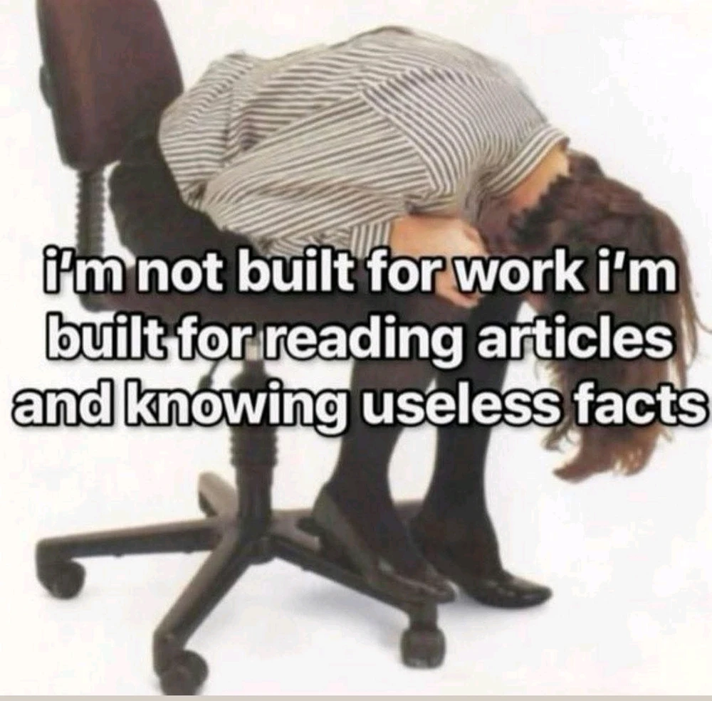 How being surrounded by PhDs feels like