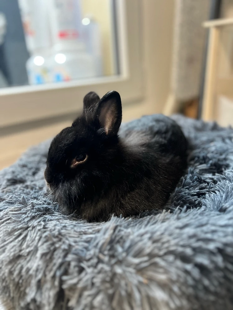 Obrázek nahrál Sára