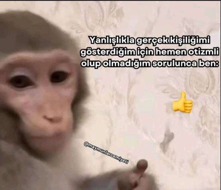M tarafından yüklenen GIF