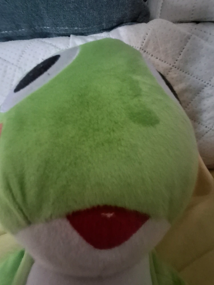 Imagine încărcată de Vlad Constantin