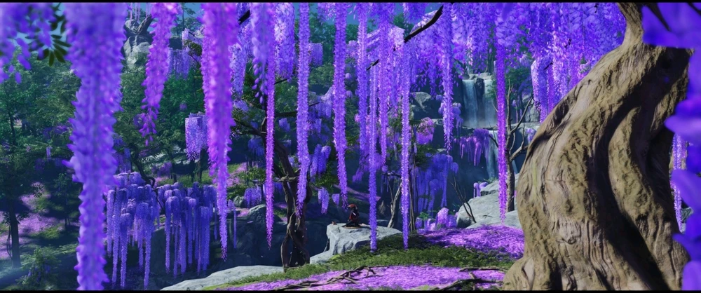 Image ajoutée par Frédéric