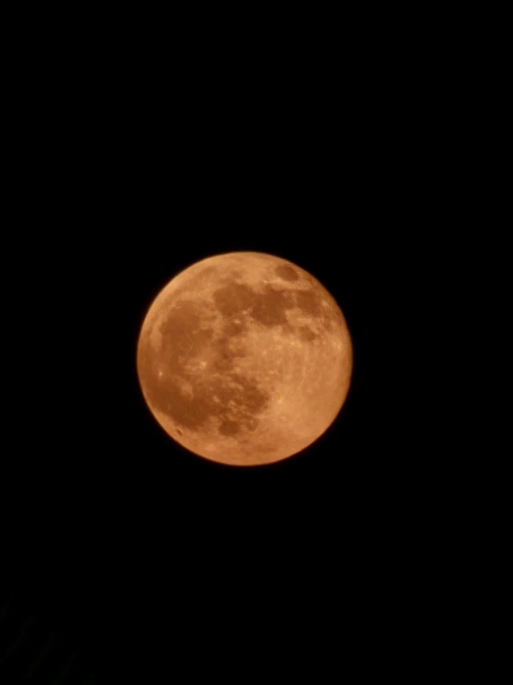 GIF uploaded by Afrin