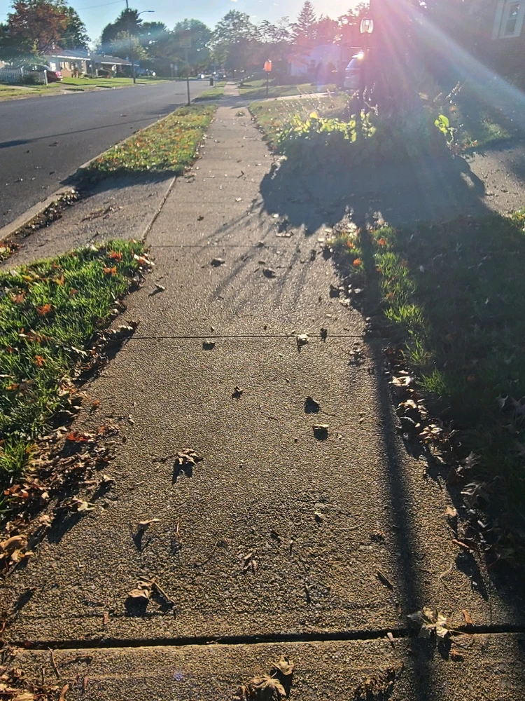 GIF uploaded by Silva