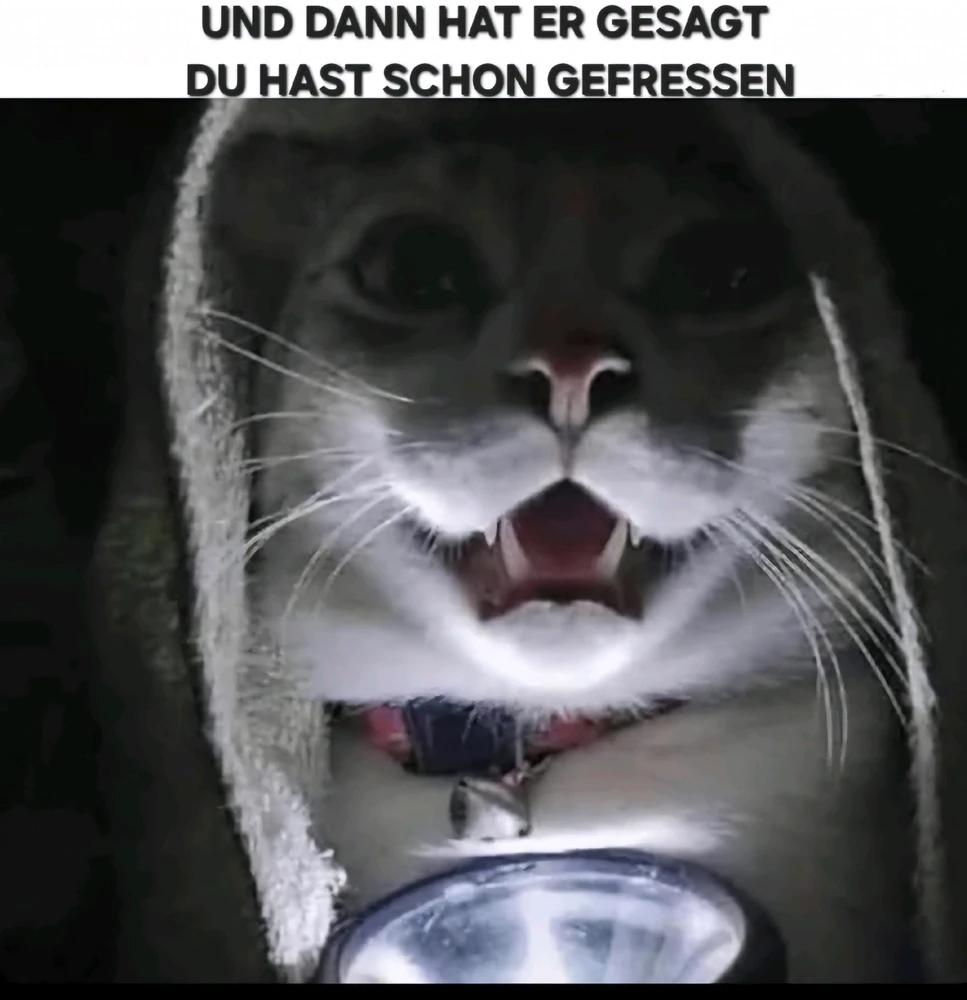 GIF hochgeladen von Mischa