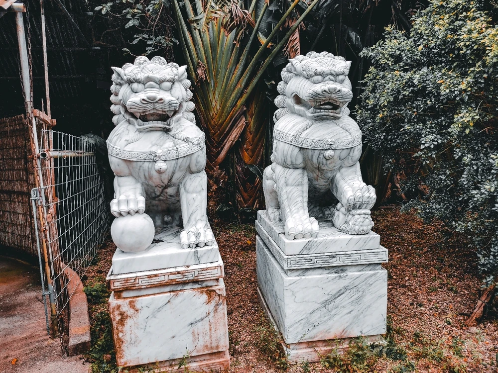 Image uploaded by Timothy Baker