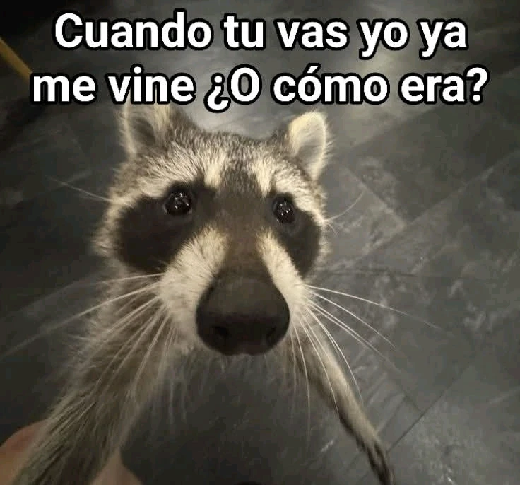 No era así? 😵💫