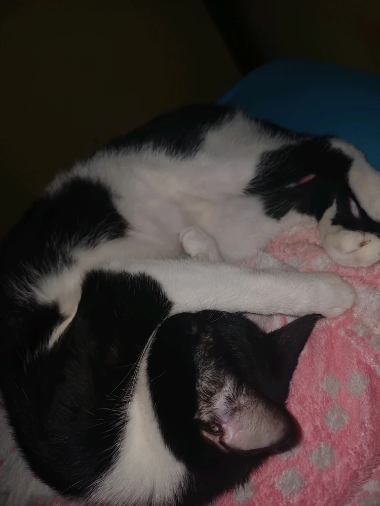 Imagem enviada por EUDES MELO