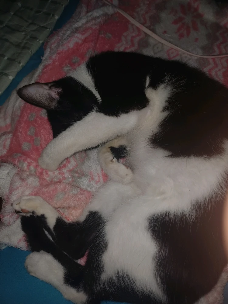 Imagem enviada por EUDES MELO