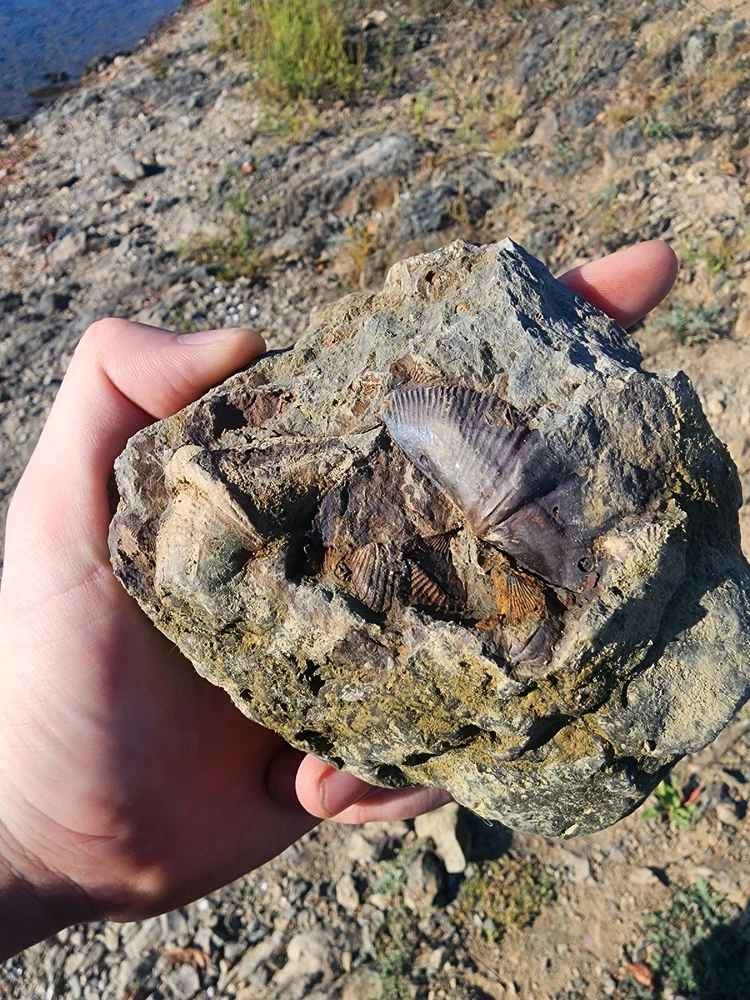 GIF uploaded by Connor