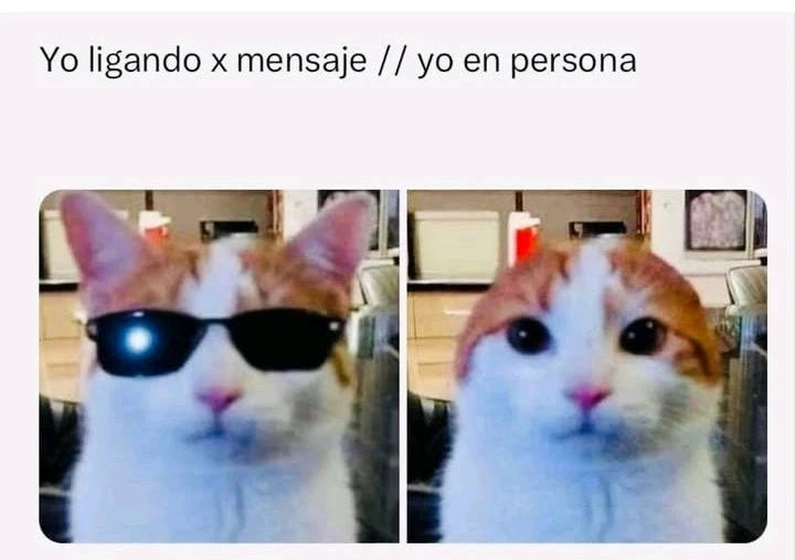 Si soy xd