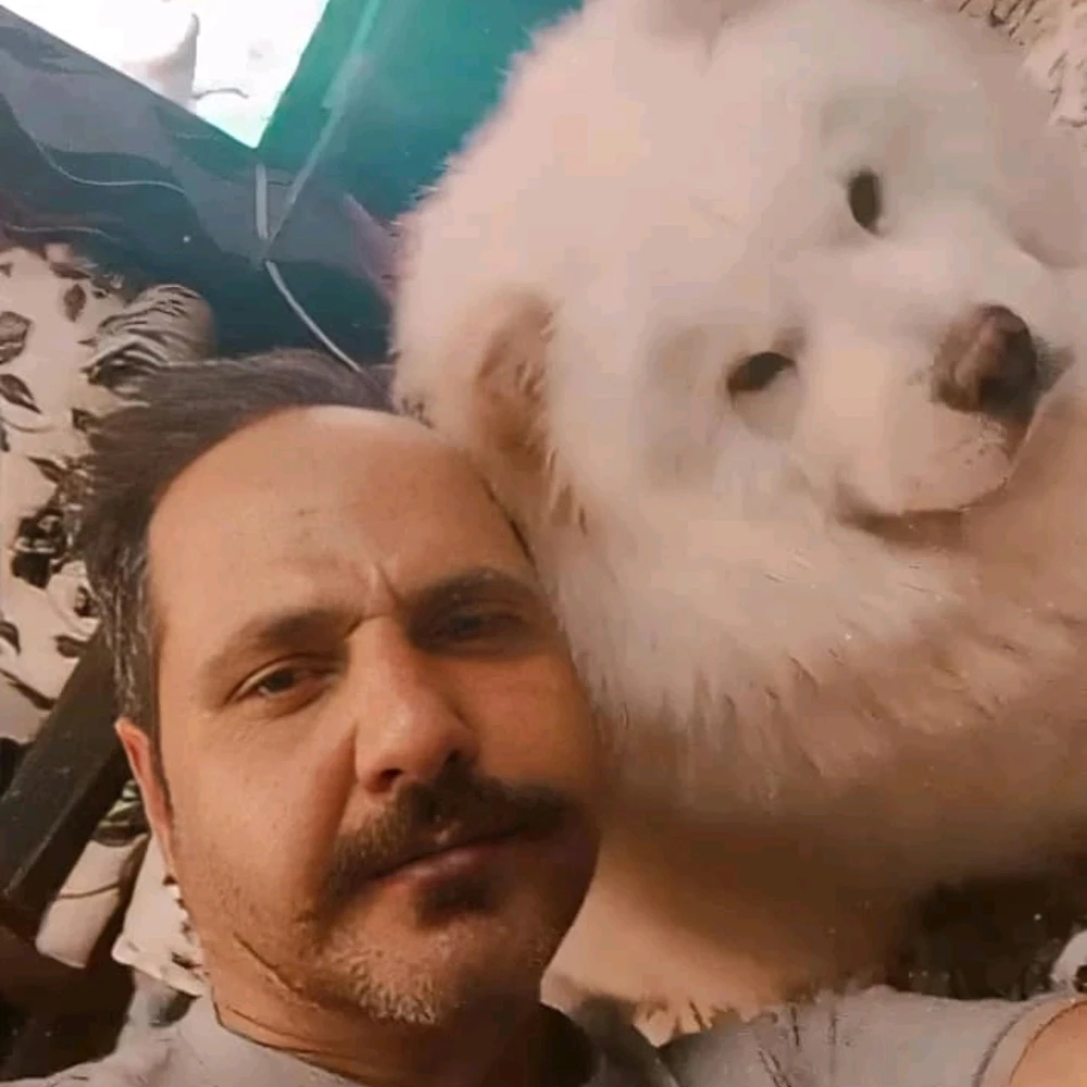 GIF آپلود شده توسط Hamed