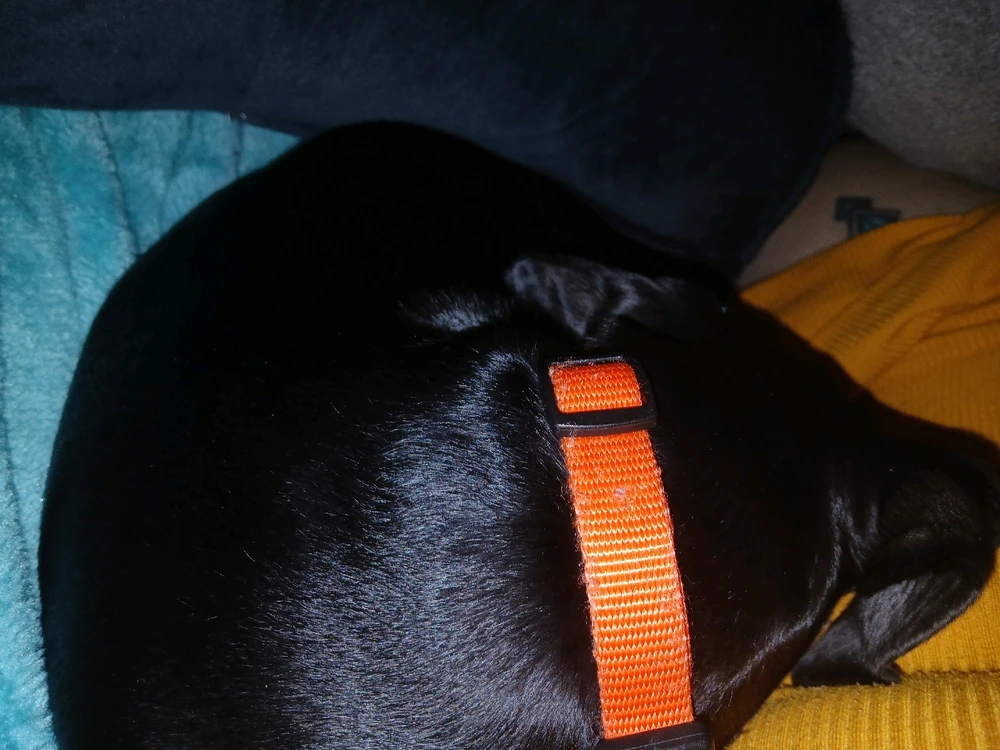 GIF uploaded by Astoria