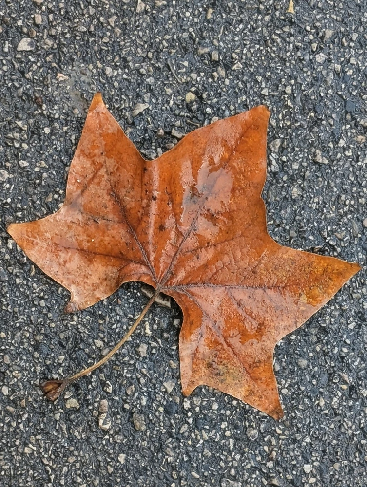 GIF uploaded by Aviv