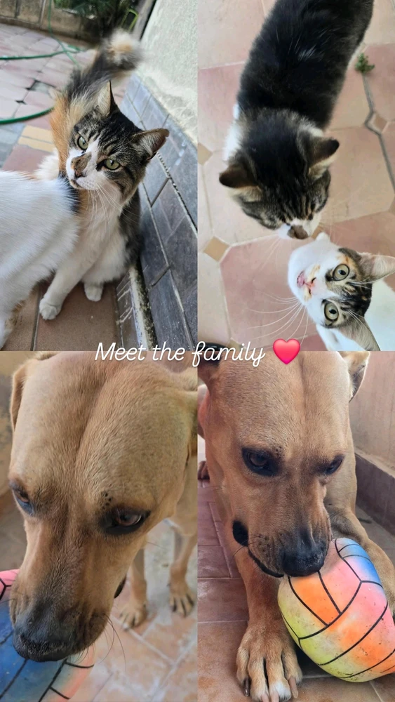 GIF ανέβηκε από Θανάσης