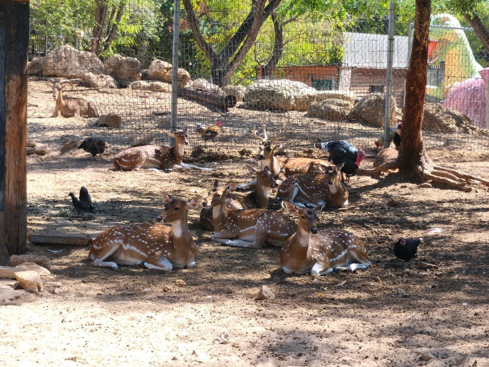 GIF uploaded by חן