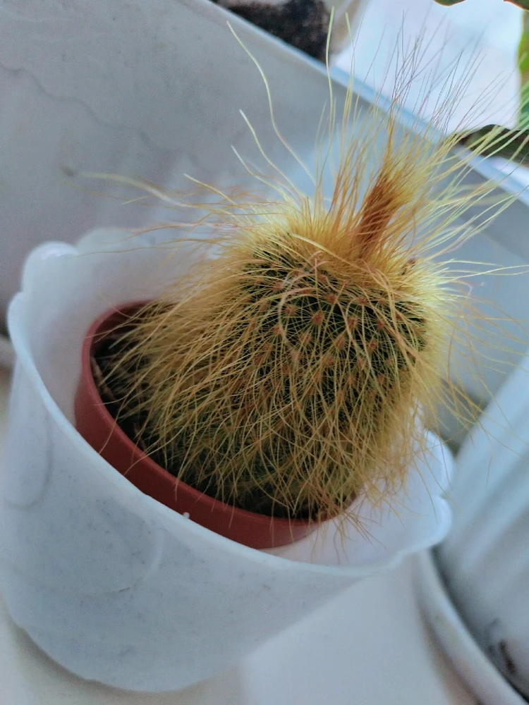 Фото загрузил Анастасия