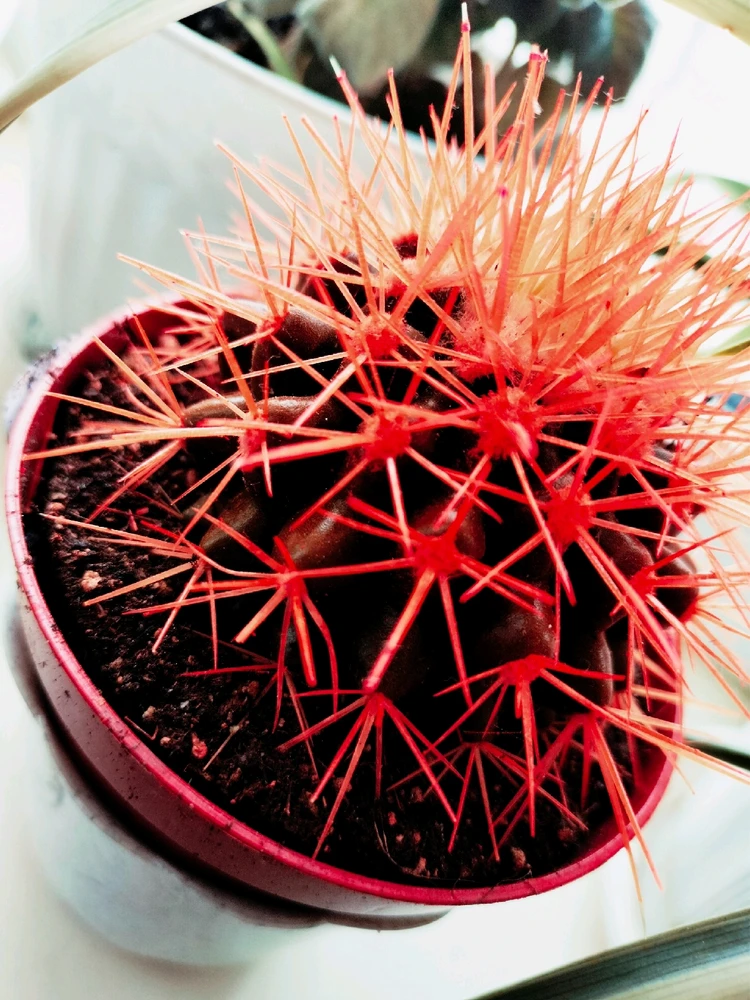 Фото загрузил Анастасия