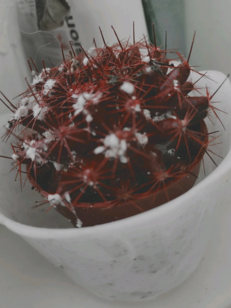 Фото загрузил Анастасия