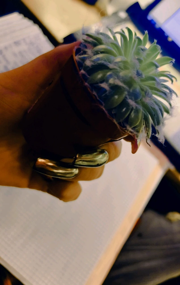 Фото загрузил Анастасия