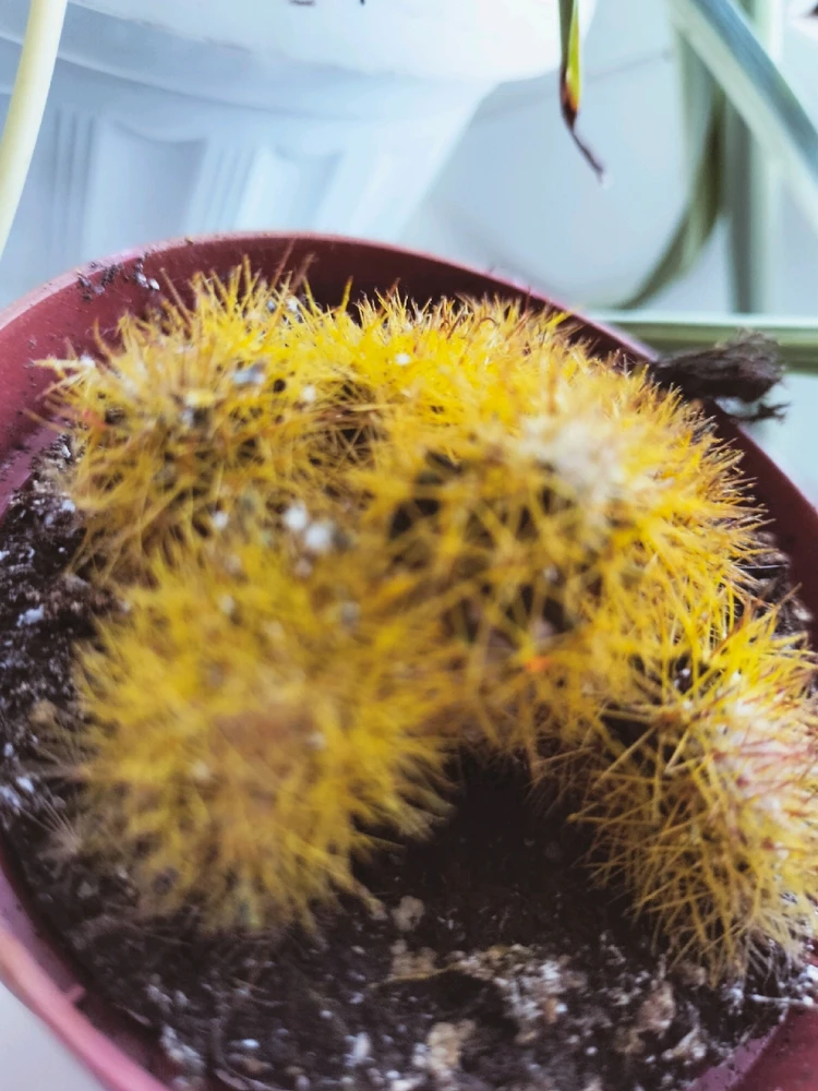 Фото загрузил Анастасия