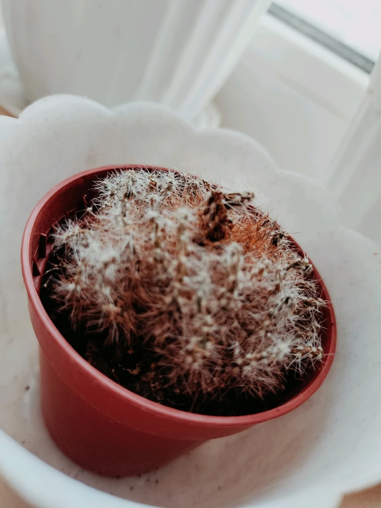 Фото загрузил Анастасия