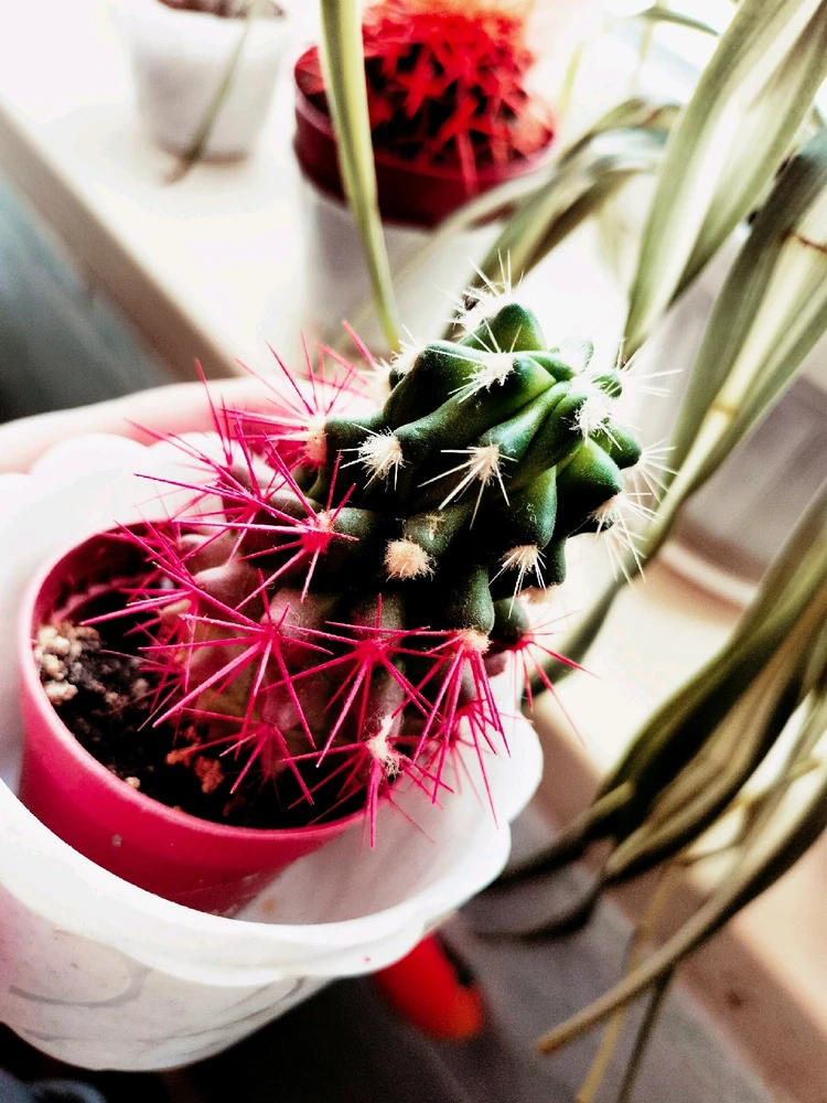 Фото загрузил Анастасия