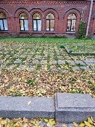 Фото загрузил Emma