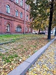 Фото загрузил Emma