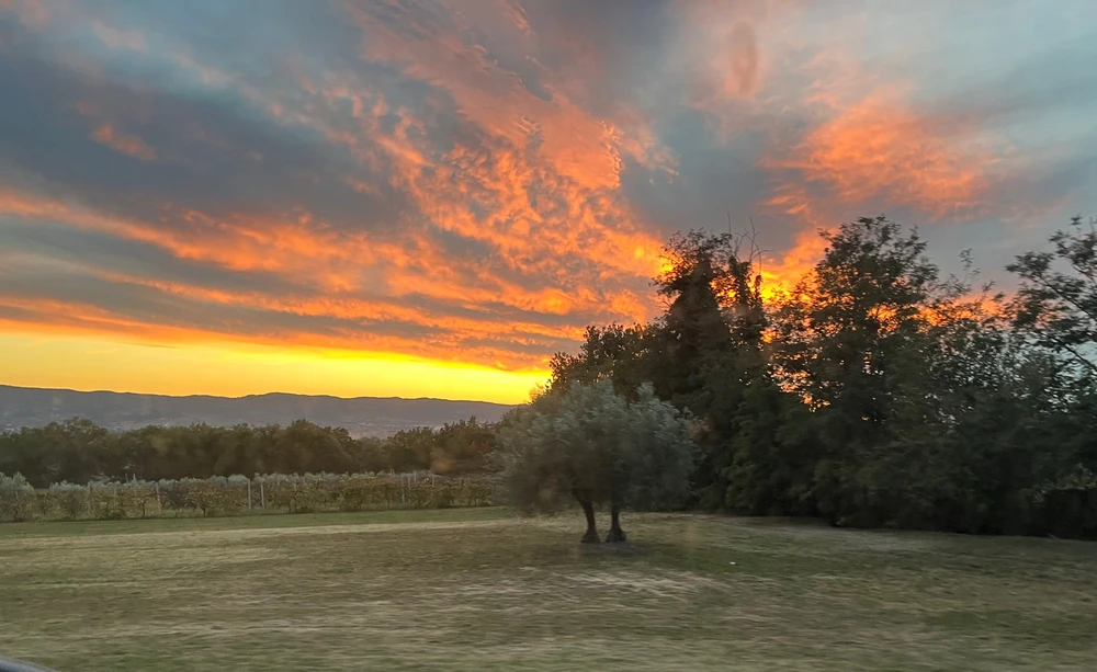 GIF caricata da Simone