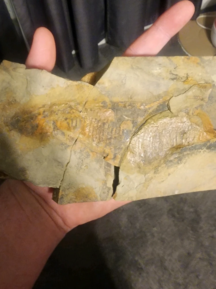 GIF uploaded by Connor