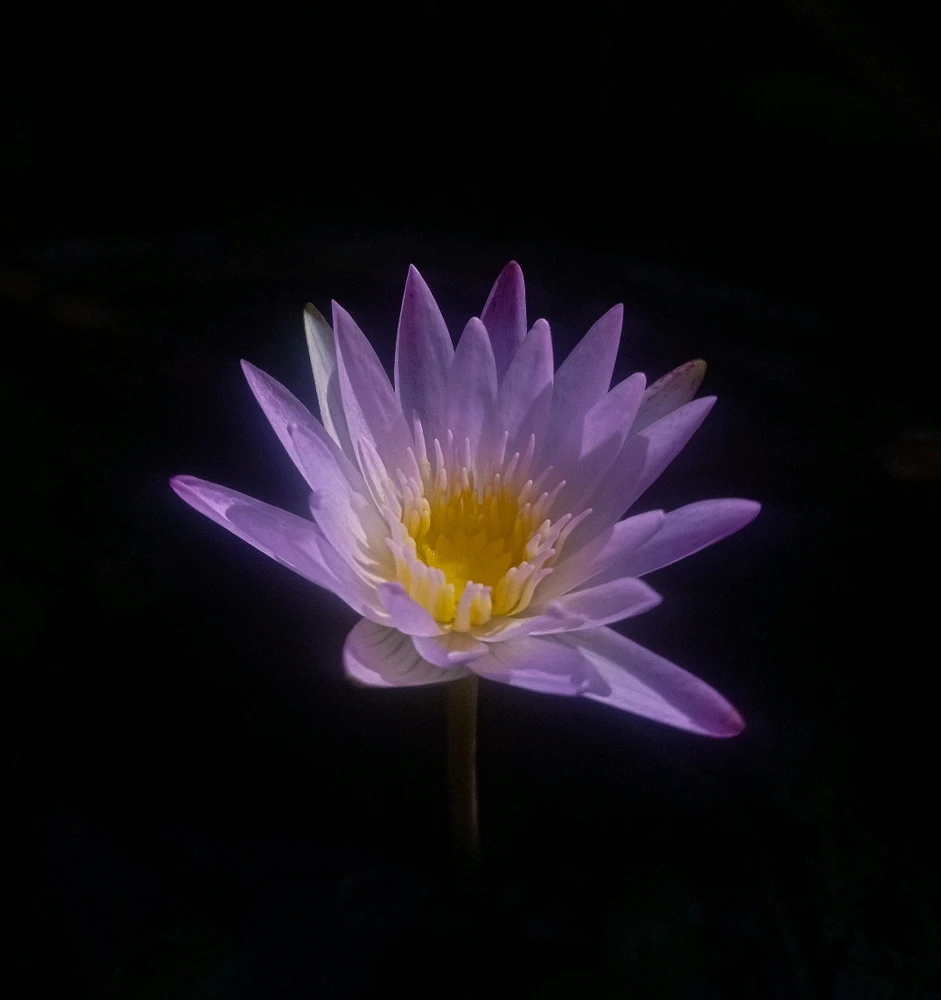 GIF uploaded by Bådböy