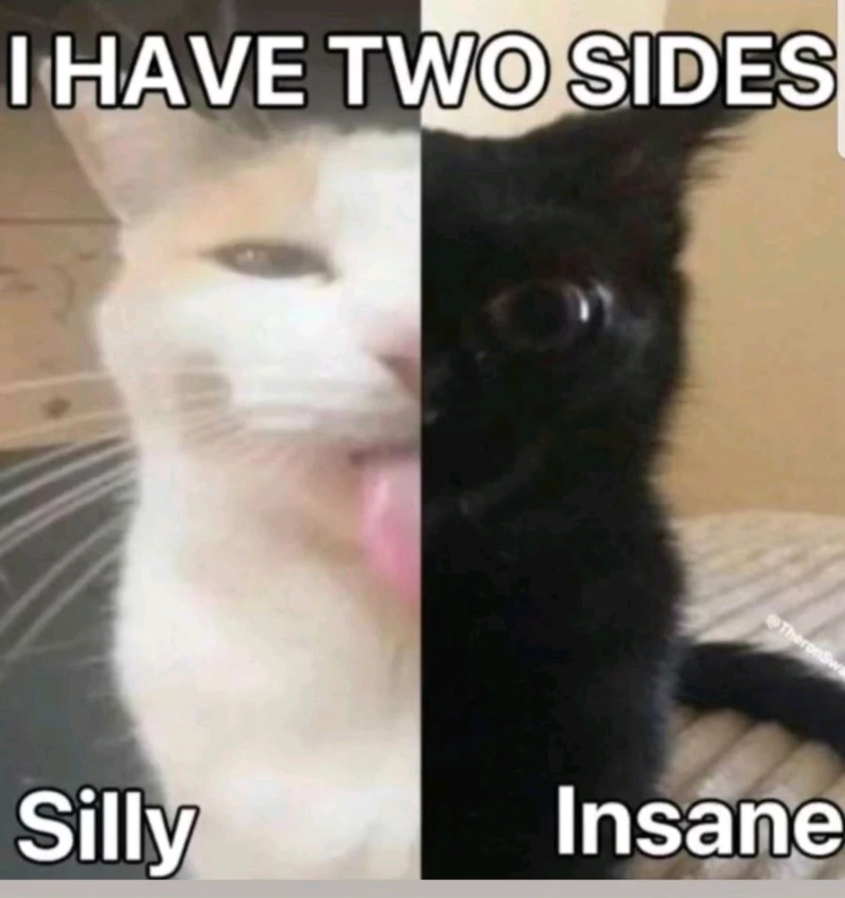 GIF uploaded by Jonathan