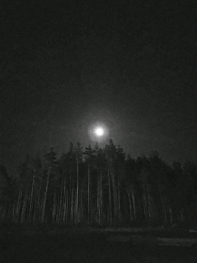 Фото загрузил Андрей